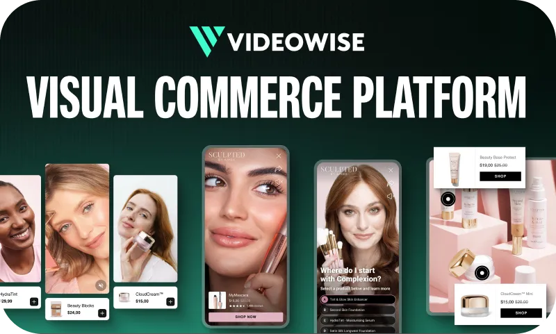 Videowise